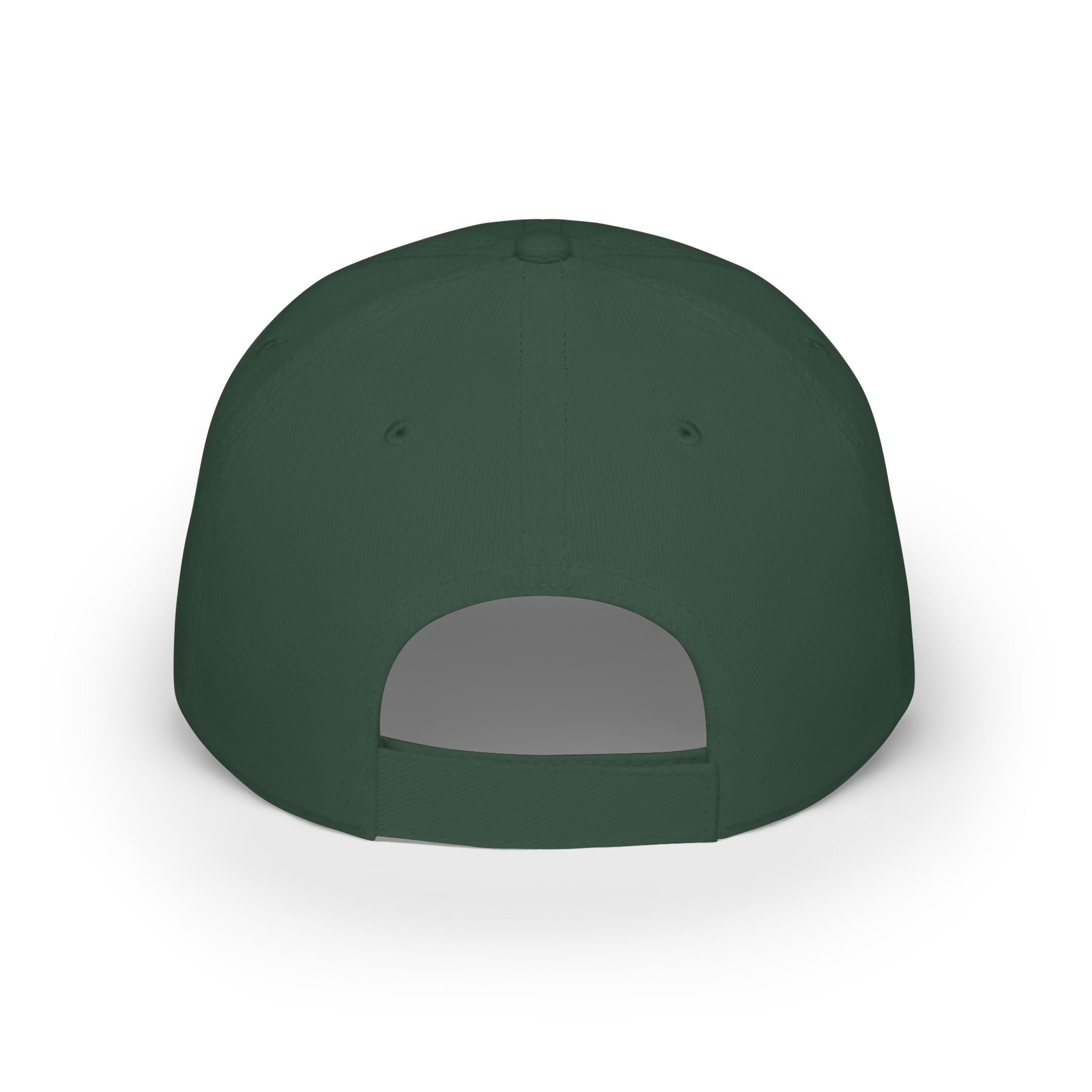 Pickleball Life Bold Green & Blue Script - Low Profile Baseball Hat